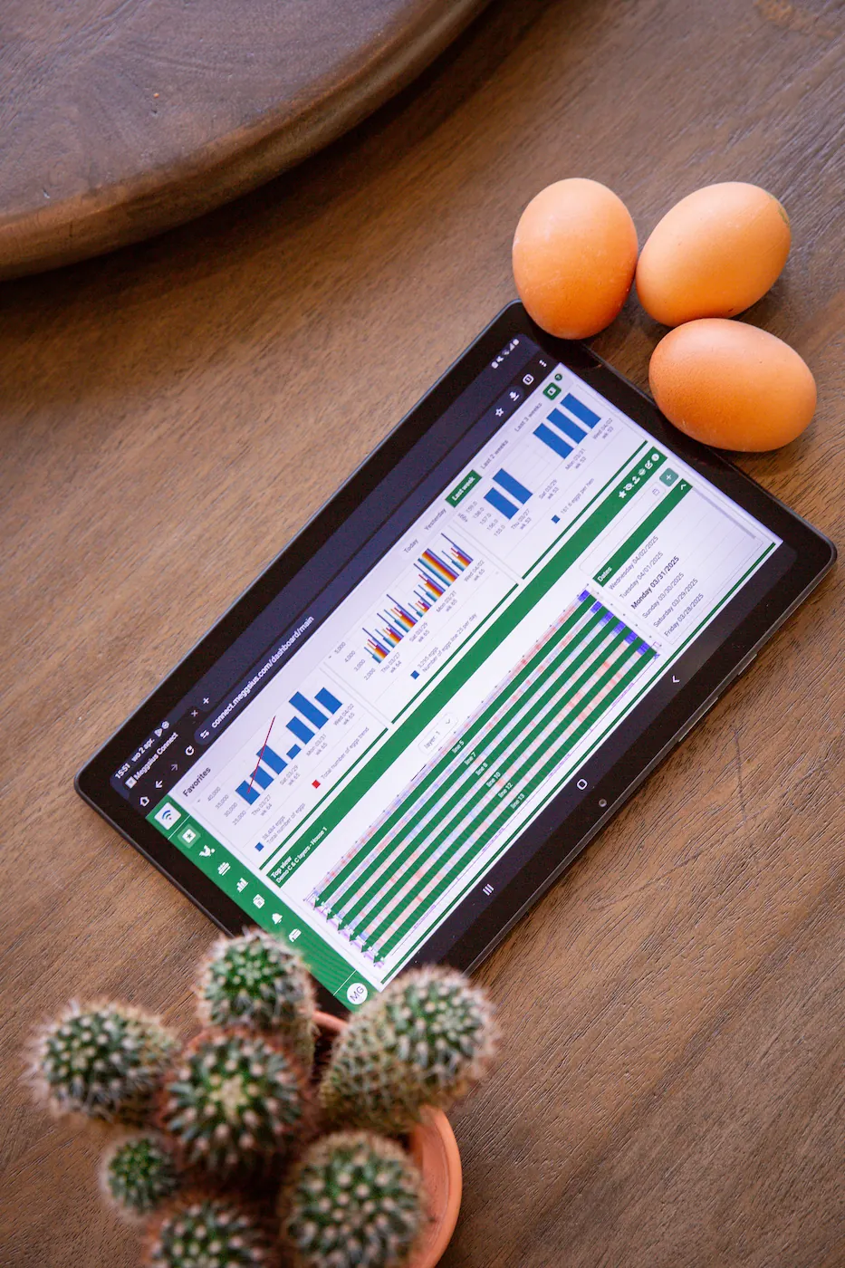 meggsius connect favourites flat lay 4